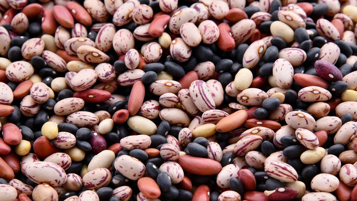 Fagioli africani